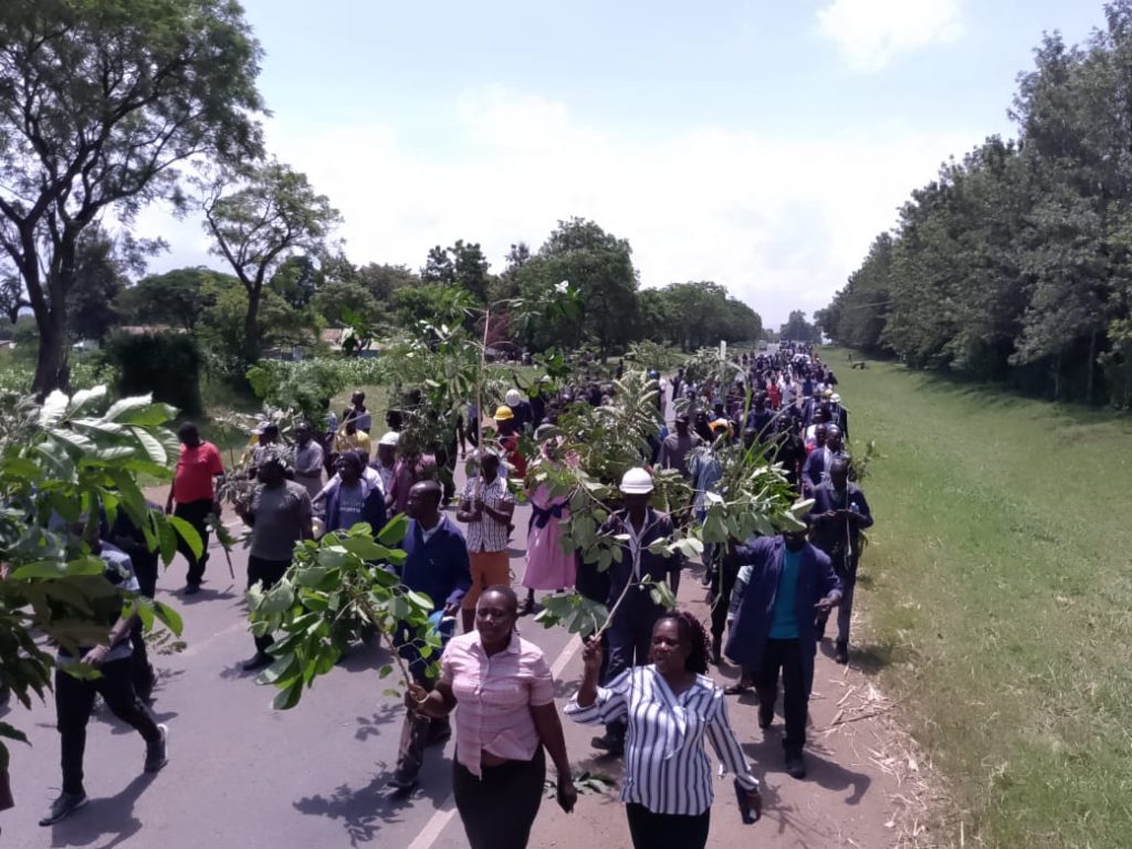 Chemelil Sugar Factory workers protest pay cuts,union threats in controversial lease deal