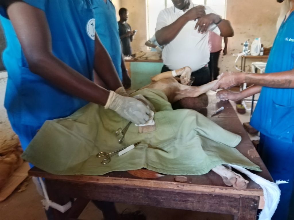 Emergency livestock vaccination drive in Kisumu