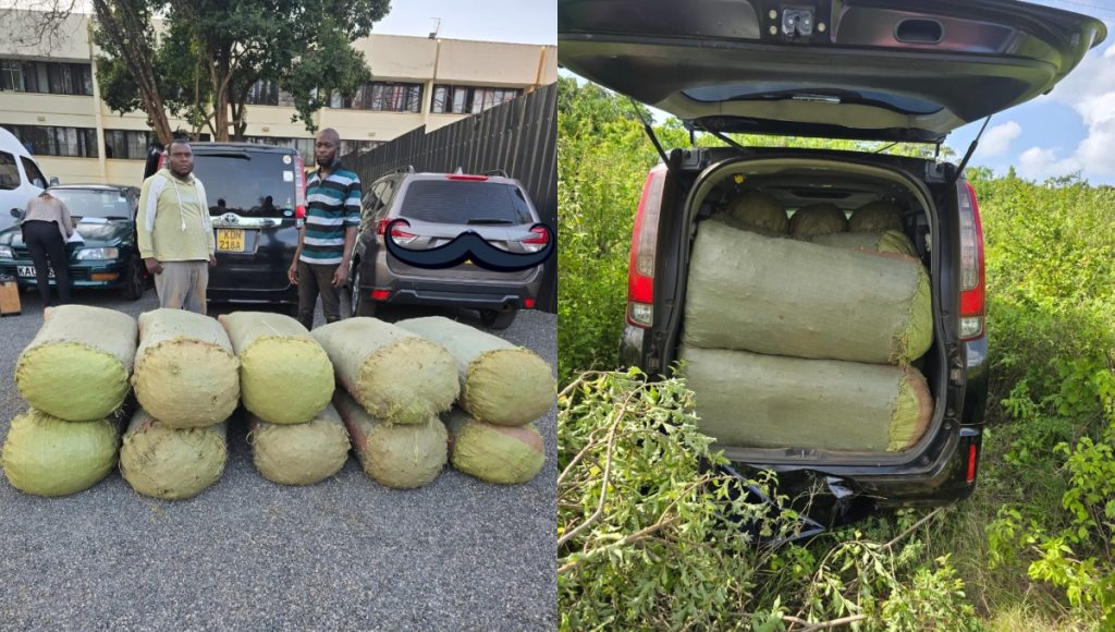 Two arrested as police chase car ferrying 10 sacks of bhang valued at KSh7.5M