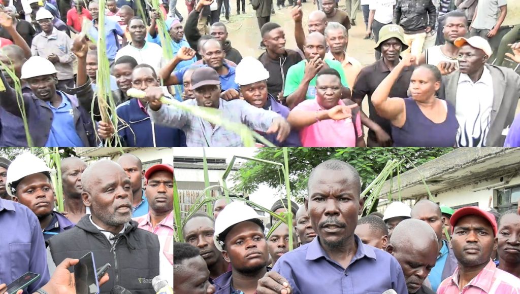 Chemelil Sugar Factory workers protest over unpaid dues, demand immediate action