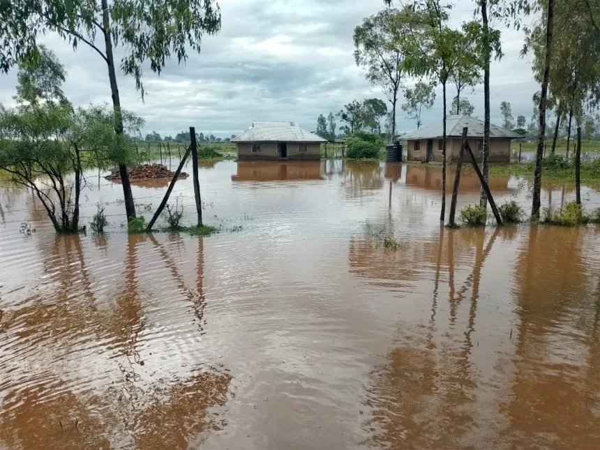 Over 1,000 families at risk of displacement as Lake Naivasha water levels rise again