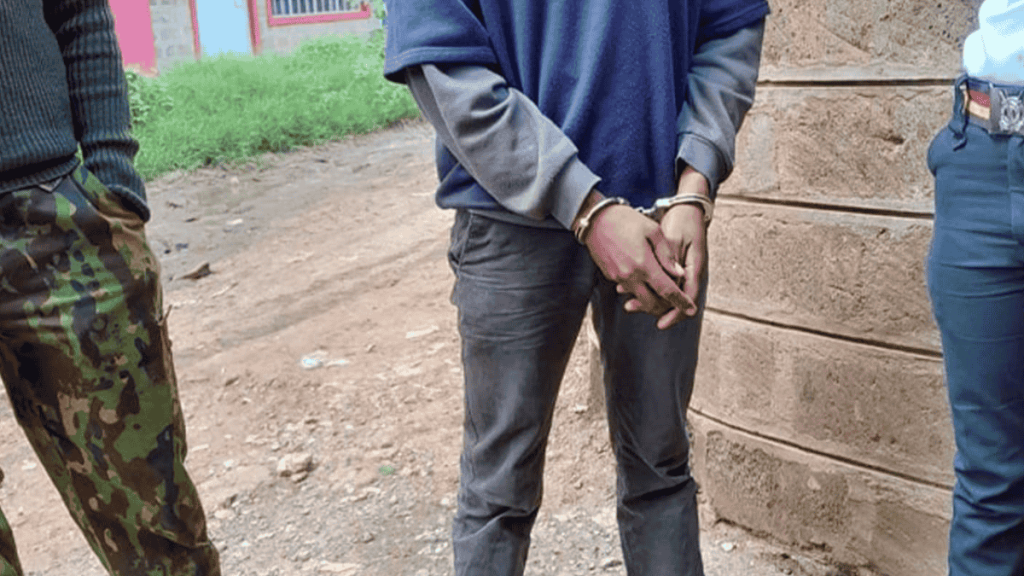 Ngong man charged with raping domestic worker, released on bond