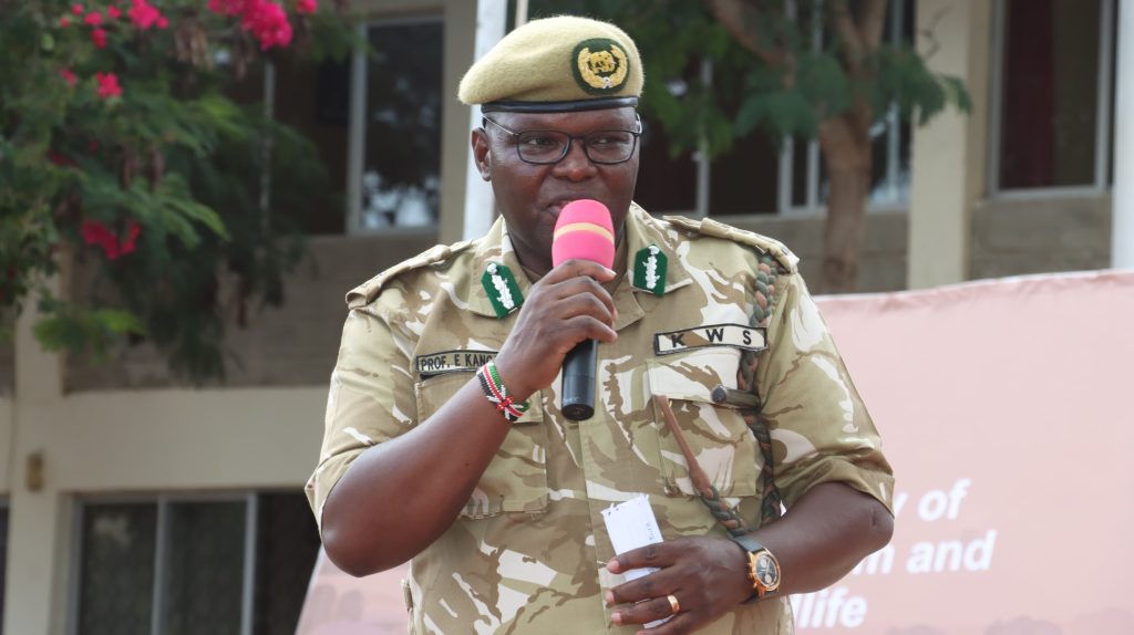 Serikali yawapa shilingi milioni 45 waathiriwa 22 wa wanyamapori, Taita Taveta