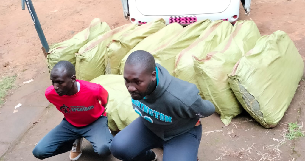 Two brothers busted with over 800kg of hang in Limuru