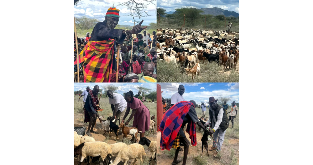 County restocking initiative for families affected by banditry in Turkana East