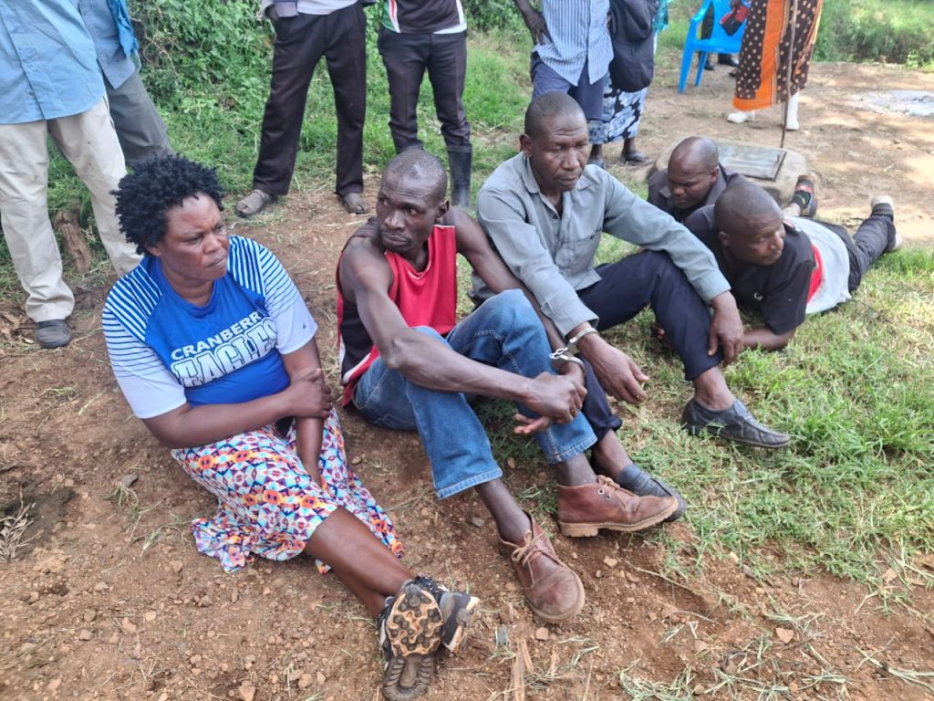 Six suspects arrested for stealing and slaughtering 2 cows in Nyakach
