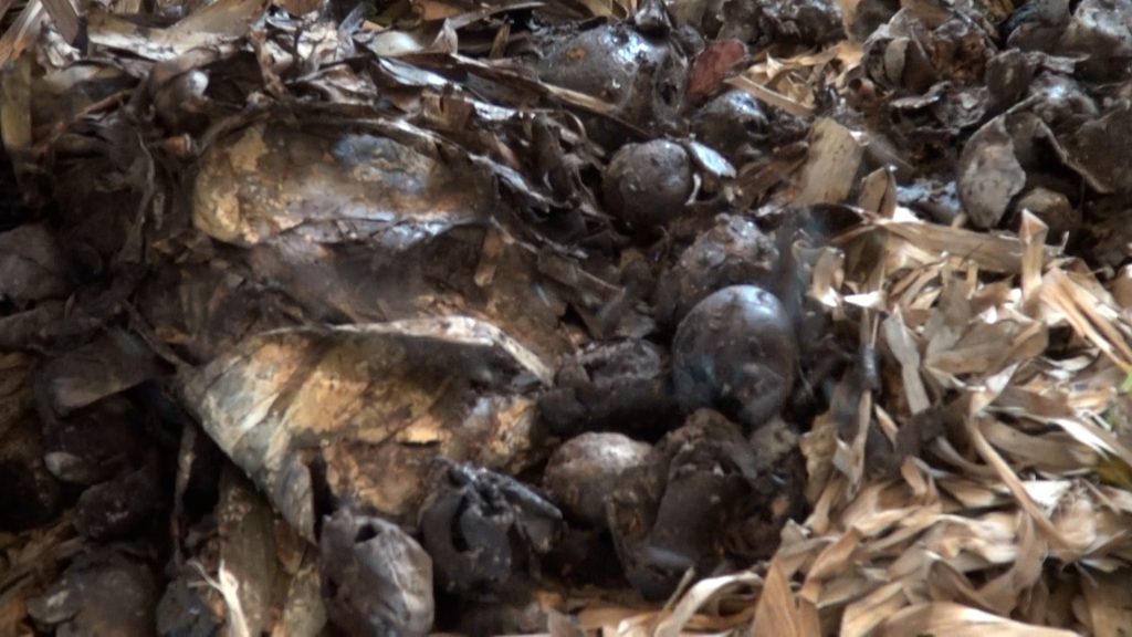 Kisumu County health officials warn residents against ignoring cholera prevention guidelines