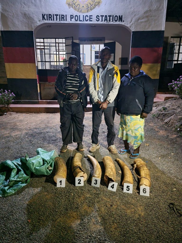 Three Arrested with 48kg of elephant tusks in Mbeere South