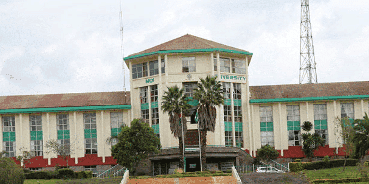 Moi University announces public auction of cattle, donkey, dogs and pigs