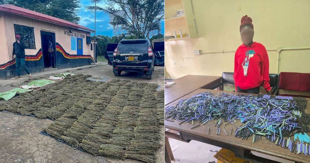 Police seize bhang consignments in Narok and Nairobi as war on drugs intensifies