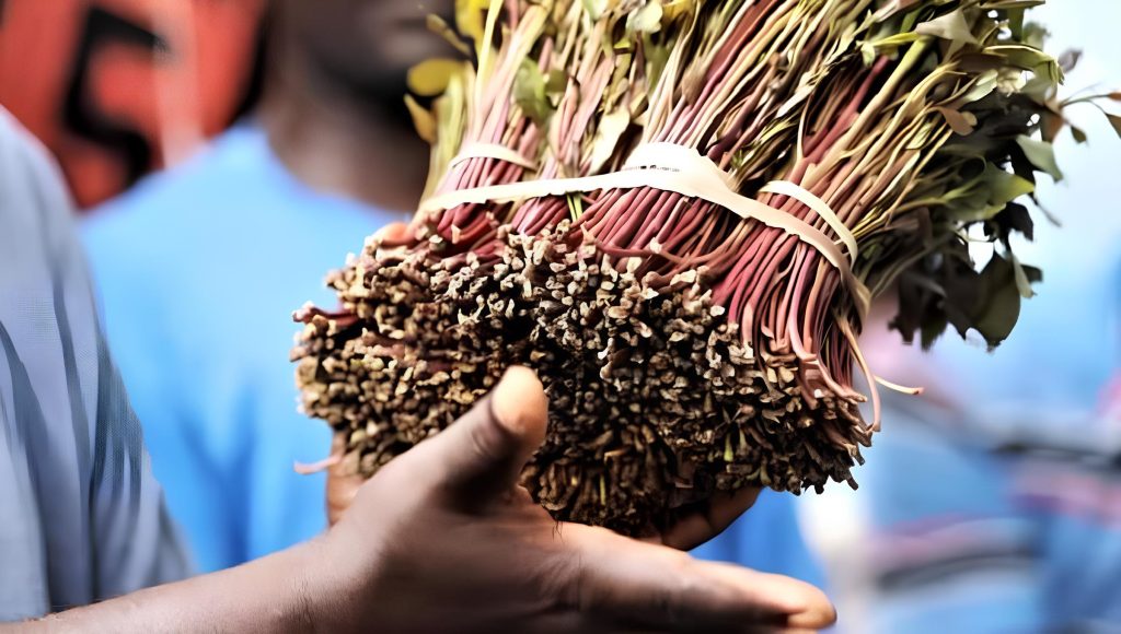 Kenya secures new Miraa export market in Djibouti
