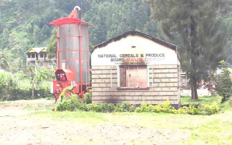 8 suspects arrested, fertilizer recovered following Maua NCPB depot looting during protests