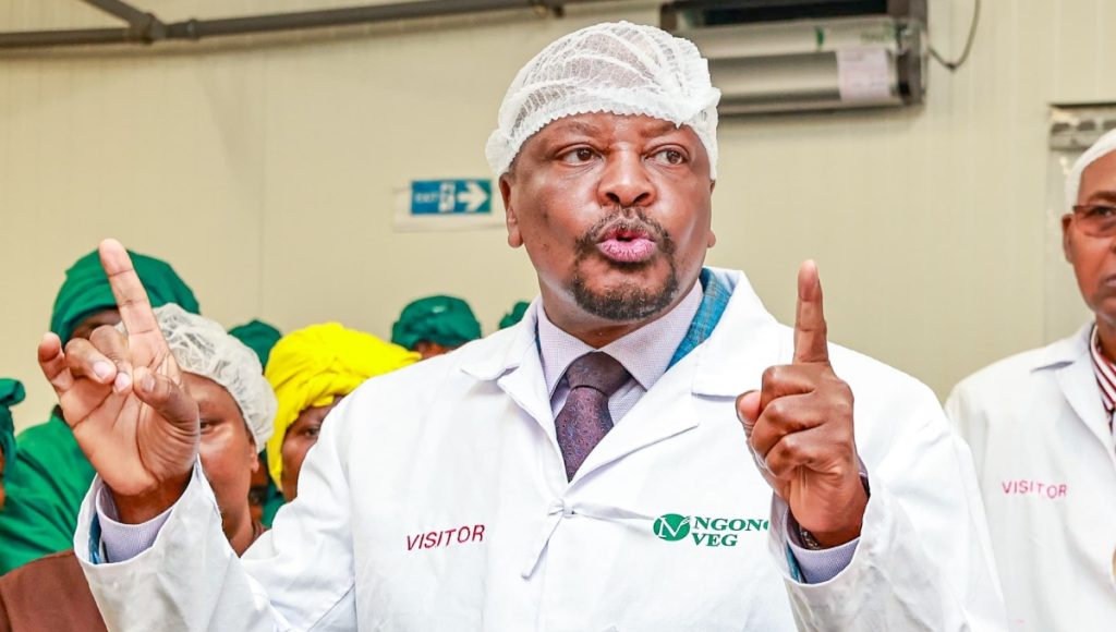CS Kagwe appeals to youth to safeguard peace, warns of economic risks